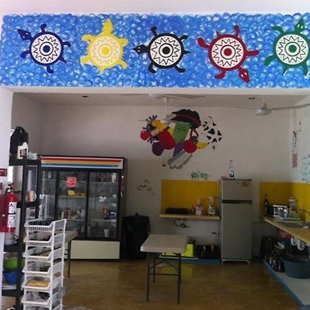 Hostal Vive La Vida Playa del Carmen Zewnętrze zdjęcie