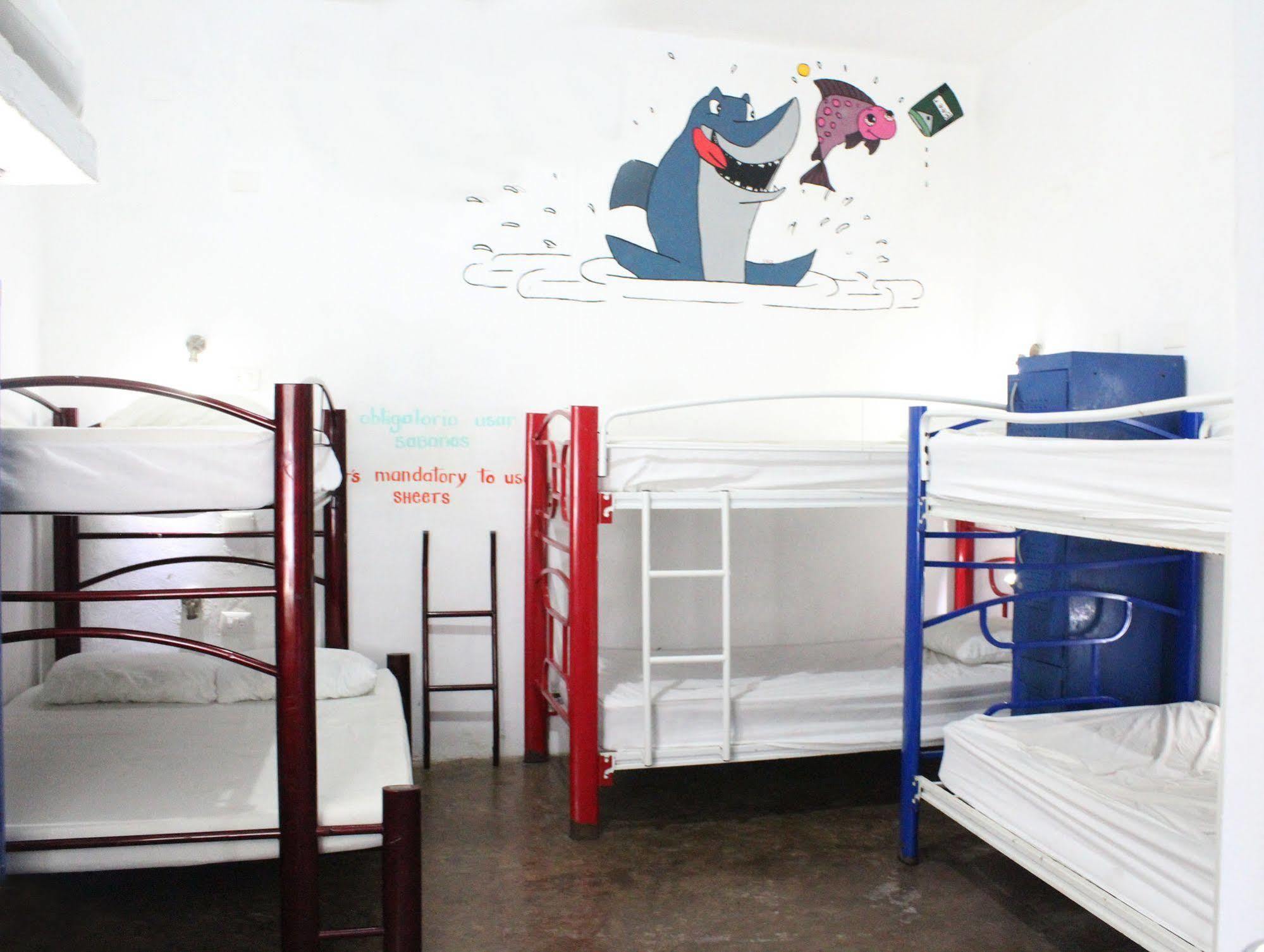 Hostal Vive La Vida Playa del Carmen Zewnętrze zdjęcie