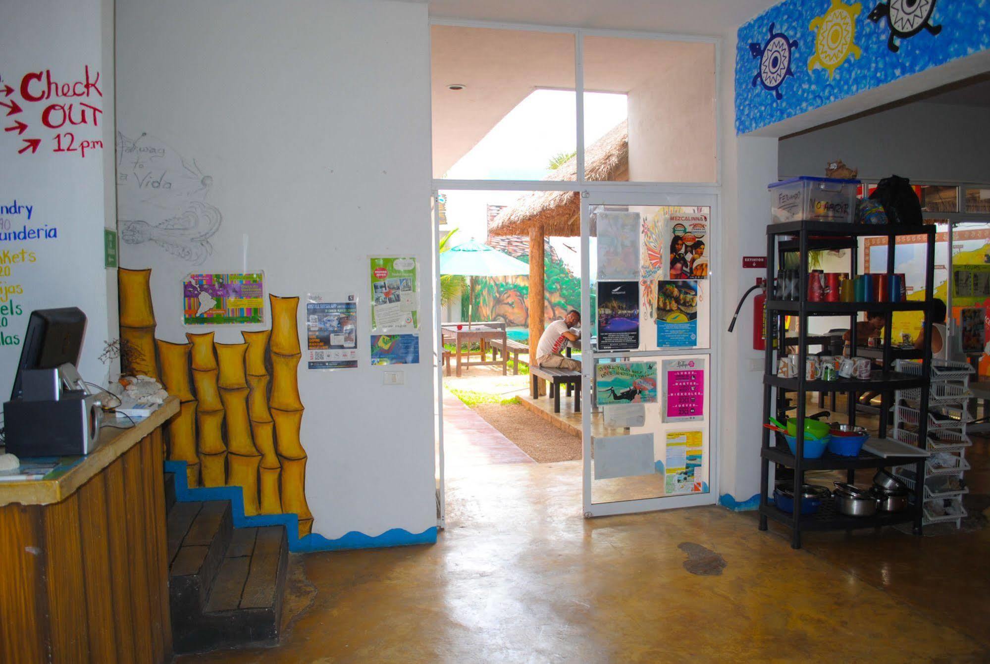 Hostal Vive La Vida Playa del Carmen Zewnętrze zdjęcie