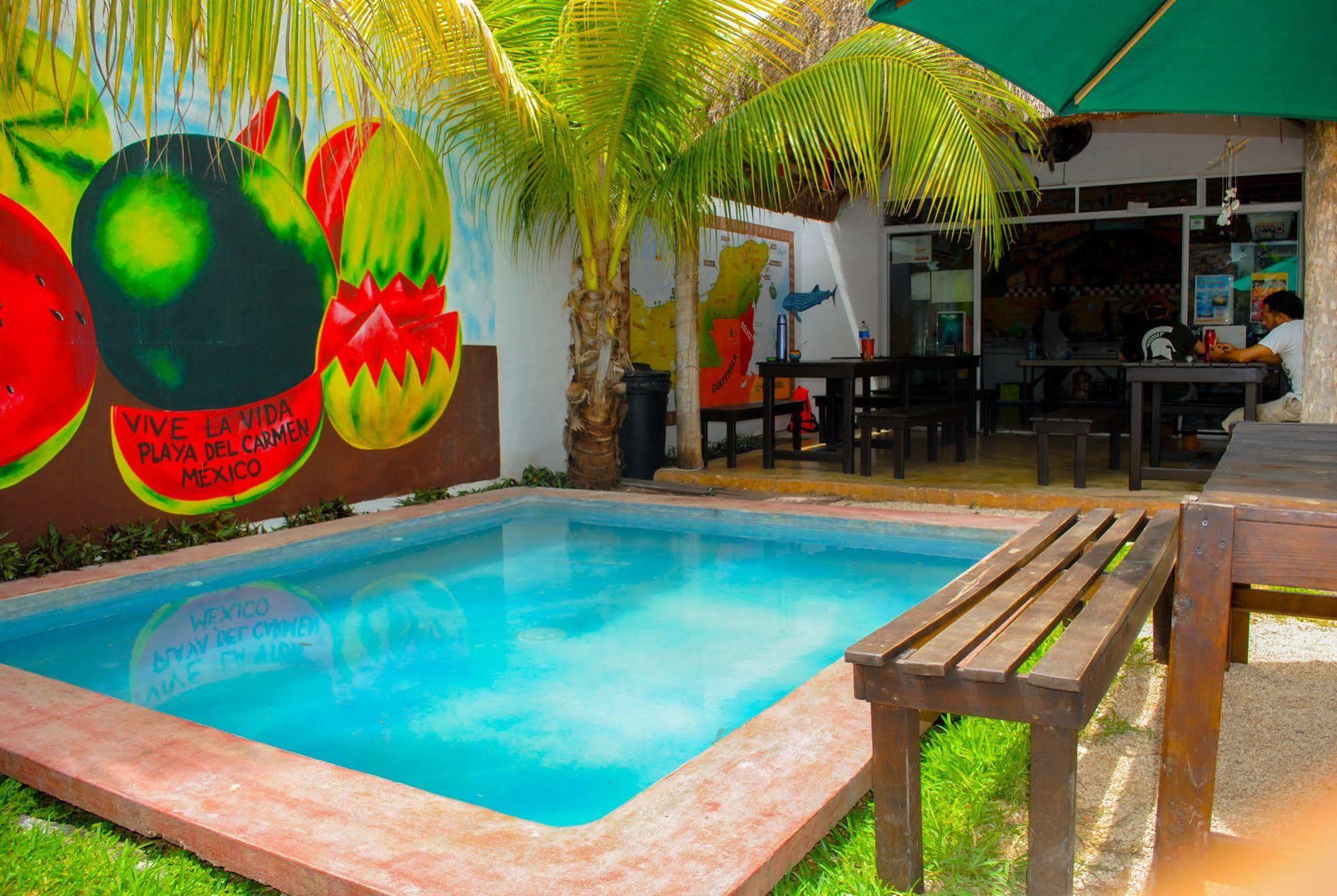 Hostal Vive La Vida Playa del Carmen Zewnętrze zdjęcie