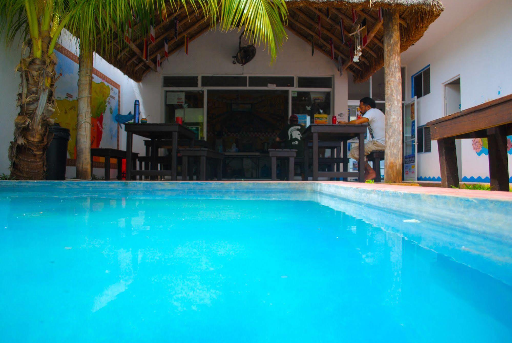 Hostal Vive La Vida Playa del Carmen Zewnętrze zdjęcie