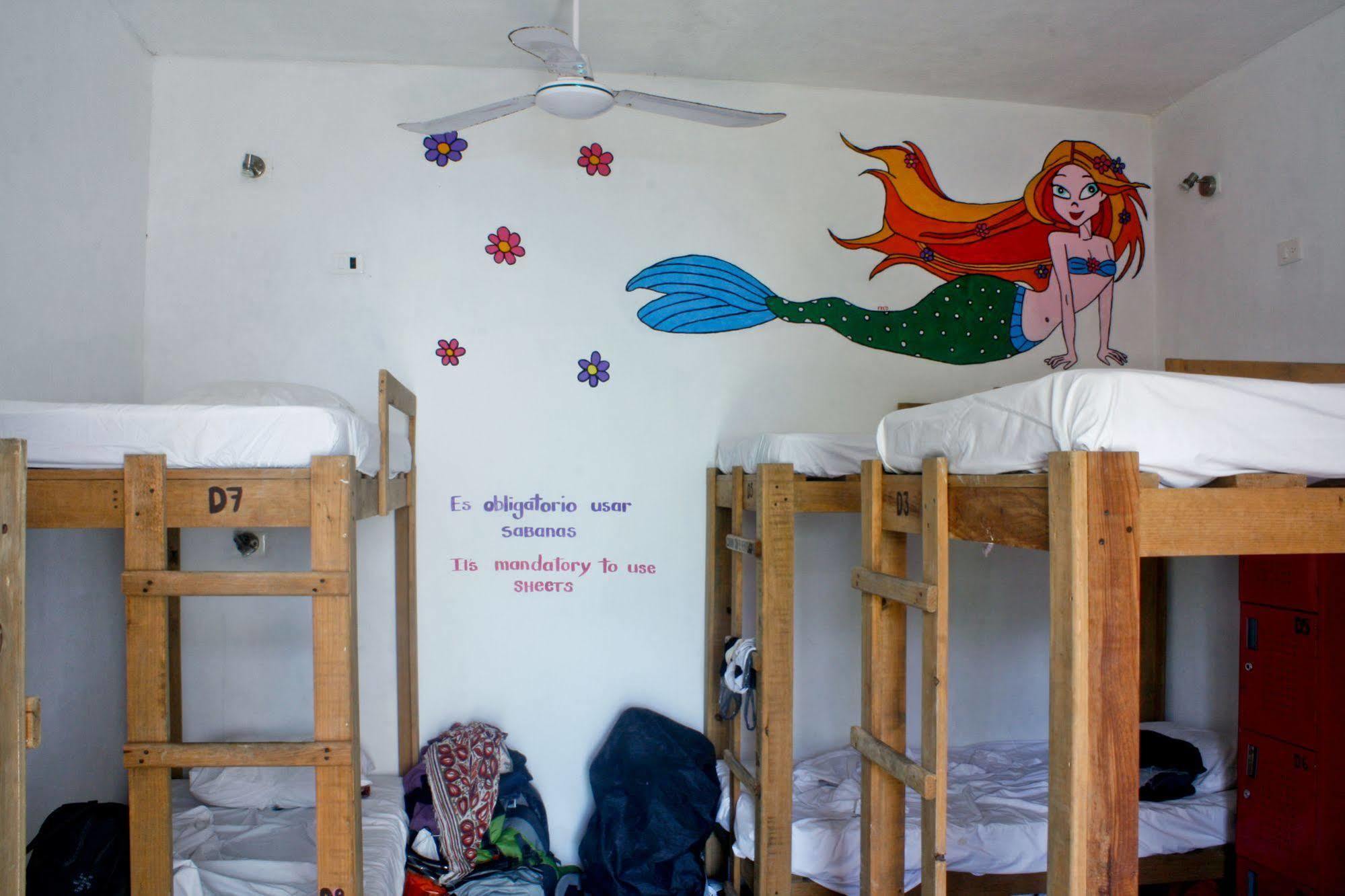 Hostal Vive La Vida Playa del Carmen Zewnętrze zdjęcie