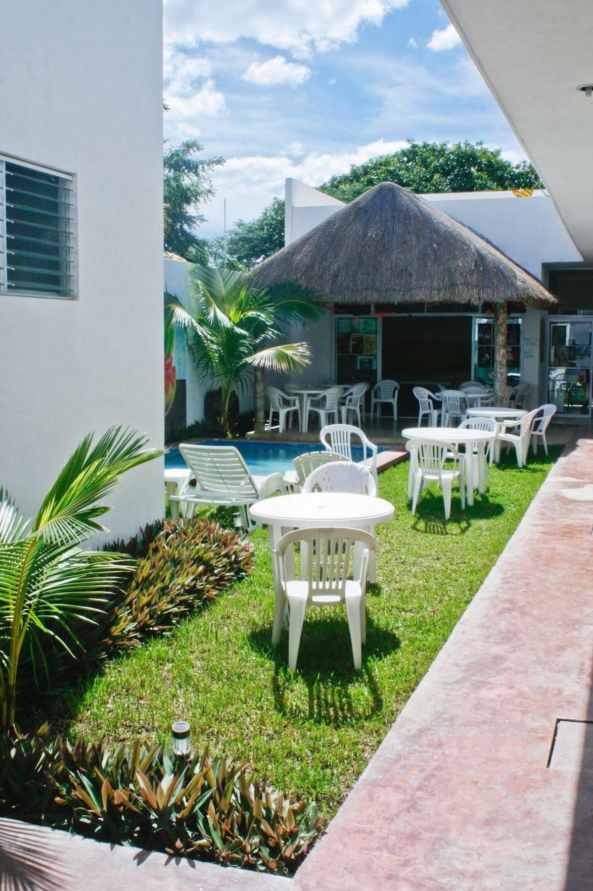 Hostal Vive La Vida Playa del Carmen Zewnętrze zdjęcie
