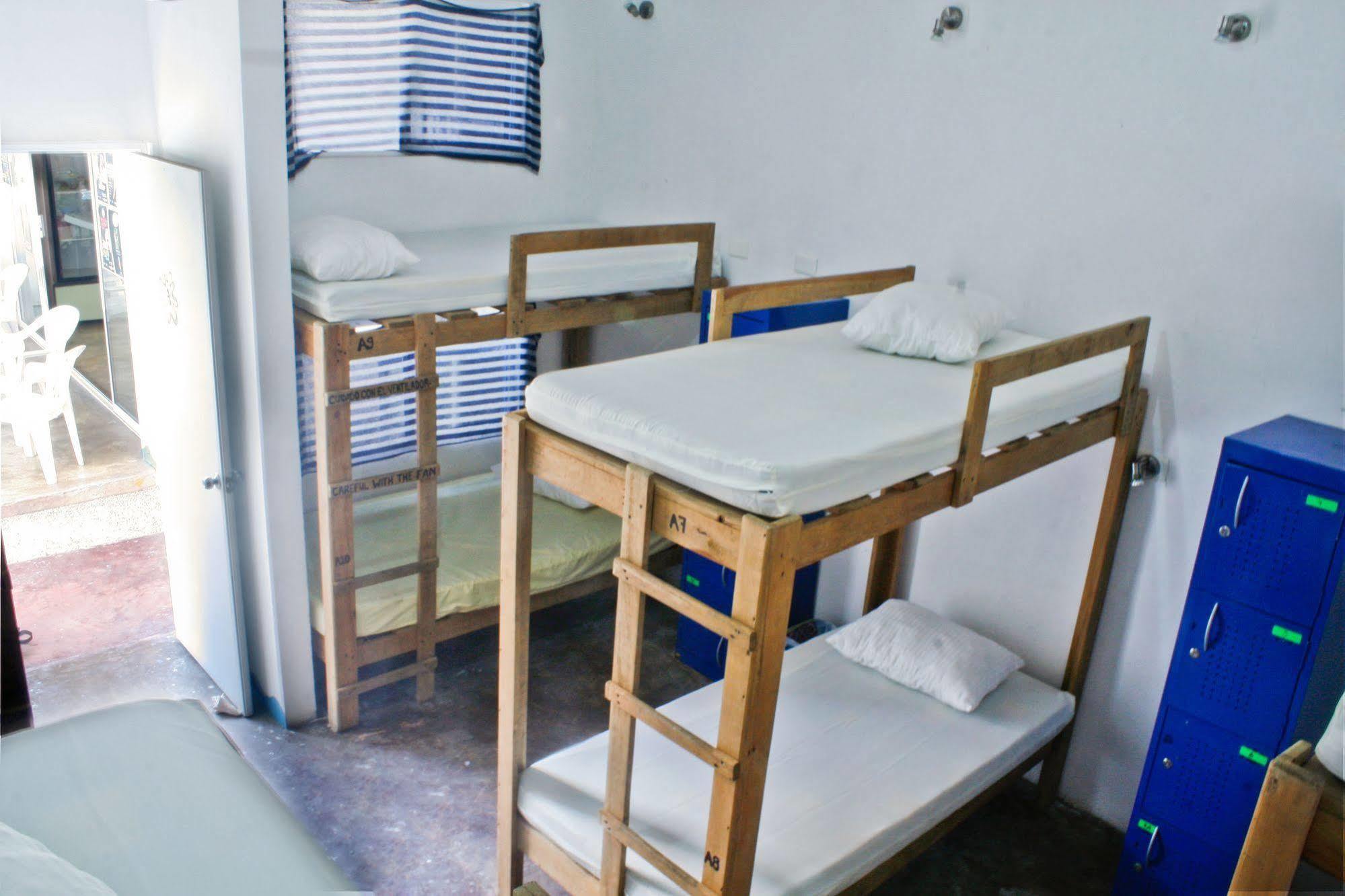 Hostal Vive La Vida Playa del Carmen Zewnętrze zdjęcie
